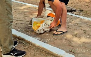 WhatsApp Image 2025-10-27 at 15.22.41 (1)