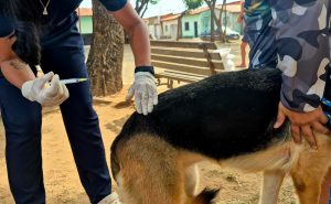 WhatsApp Image 2025-10-27 at 15.22.42 (2)